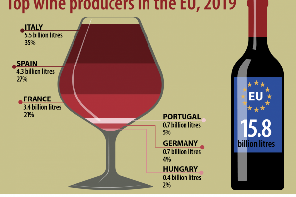 Hungary Wine