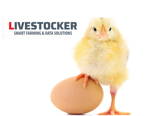 livestocker 2