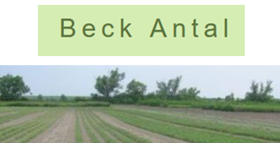 BECK ANTAL FOREST NURSERY