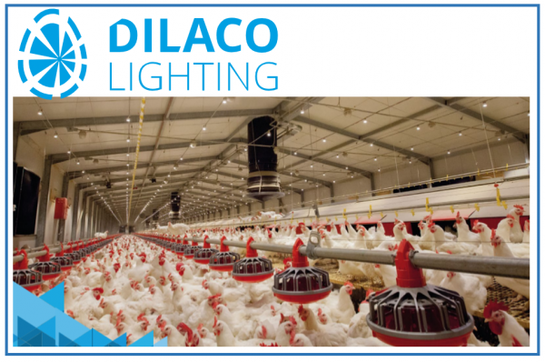 DILACO LIGHTING