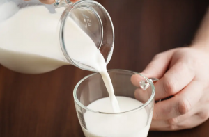 A2 milk